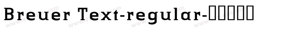 Breuer Text-regular字体转换 Breuer Text-regular字体转换